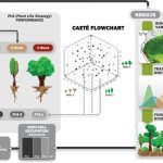 Equipe da Unicamp cria algoritmo para projetar futuro da Amazônia