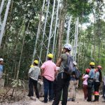 AmazonFACE faz pré-inauguração de sítio experimental para testar resiliência da floresta amazônica à mudança climática