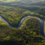 Um experimento de alcance sem precedentes na Amazônia