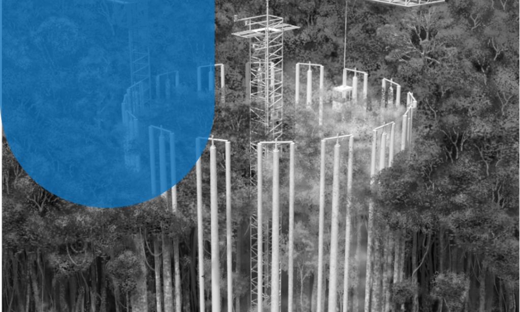 Verba britânica ressuscita maior experimento sobre clima da Amazônia