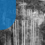 Verba britânica ressuscita maior experimento sobre clima da Amazônia