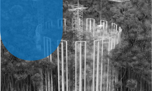 Verba britânica ressuscita maior experimento sobre clima da Amazônia