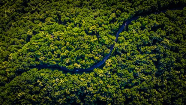Amazônia, floresta, meio ambiente, (Foto: Unsplash)